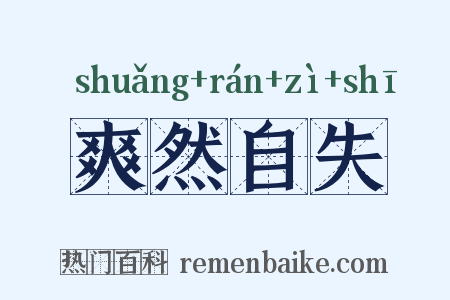 爽然自失是什么意思的图片